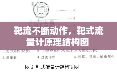 靶流不断动作，靶式流量计原理结构图 