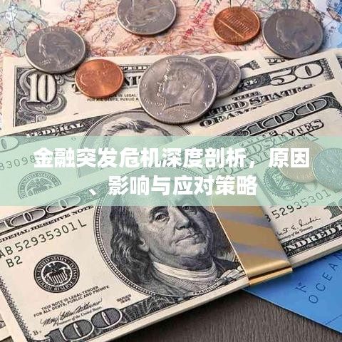 金融突发危机深度剖析，原因、影响与应对策略