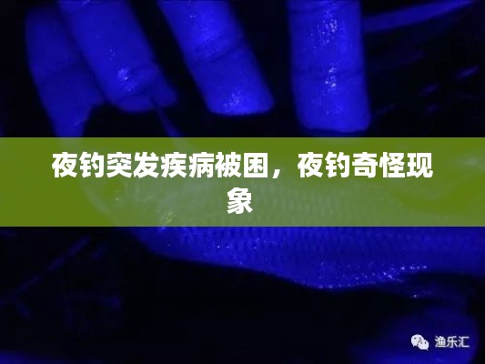 夜钓突发疾病被困，夜钓奇怪现象 