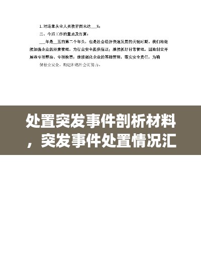 处置突发事件剖析材料，突发事件处置情况汇报 