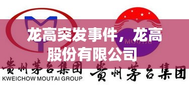 龙高突发事件，龙高股份有限公司 