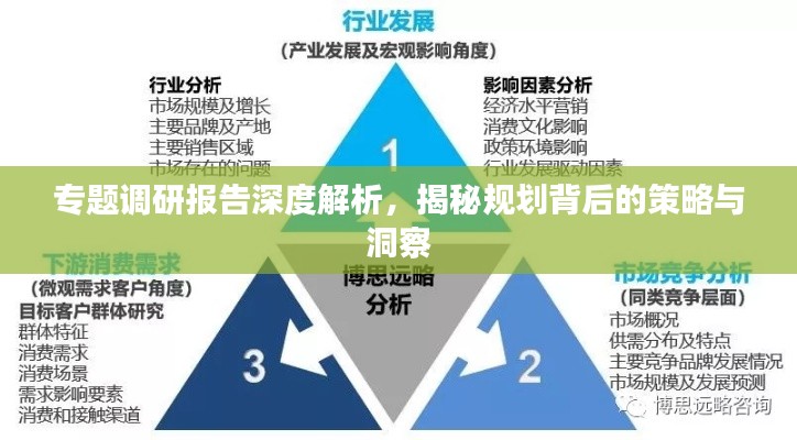 专题调研报告深度解析，揭秘规划背后的策略与洞察