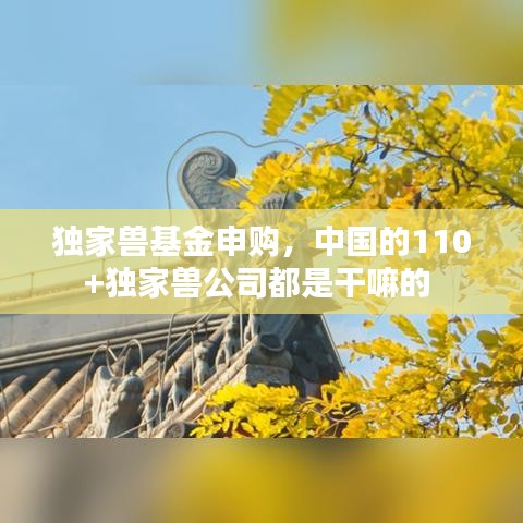 独家兽基金申购，中国的110+独家兽公司都是干嘛的 