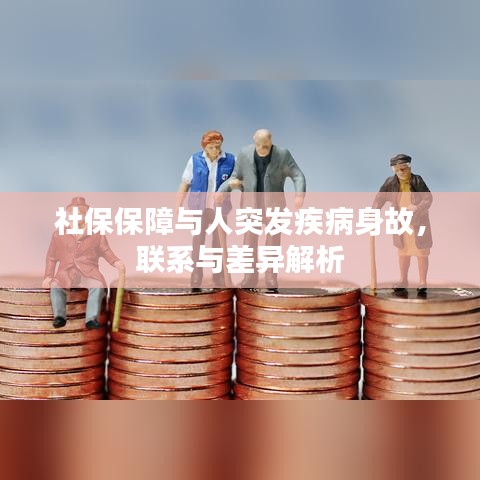 社保保障与人突发疾病身故，联系与差异解析