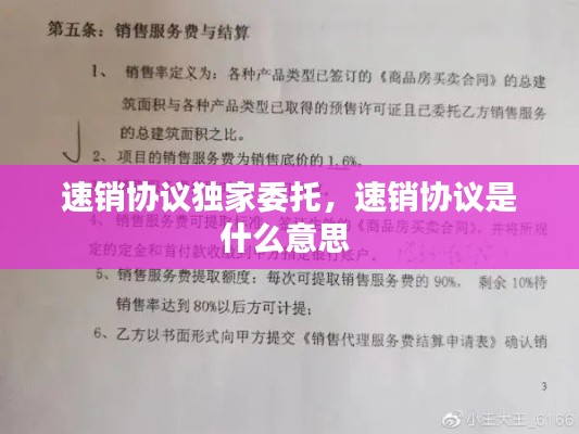 速销协议独家委托，速销协议是什么意思 