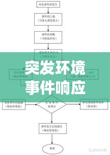 突发环境事件响应流程，突发环境事件应急处理预案 