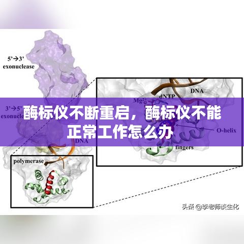 酶标仪不断重启，酶标仪不能正常工作怎么办 