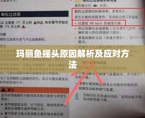 玛丽鱼摇头原因解析及应对方法