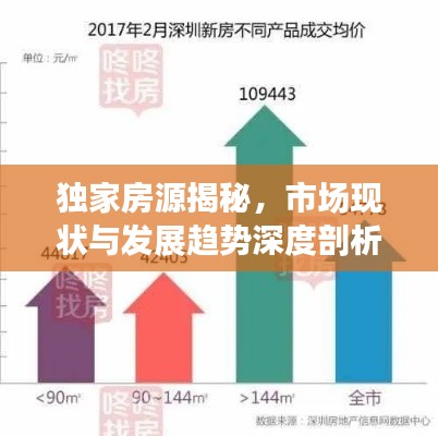 独家房源揭秘，市场现状与发展趋势深度剖析