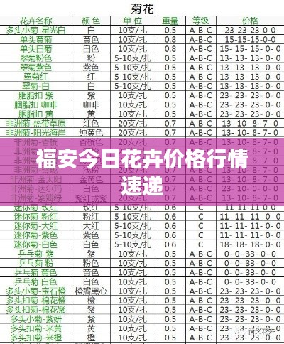 福安今日花卉价格行情速递