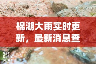 棉湖大雨实时更新，最新消息查询与天气动态