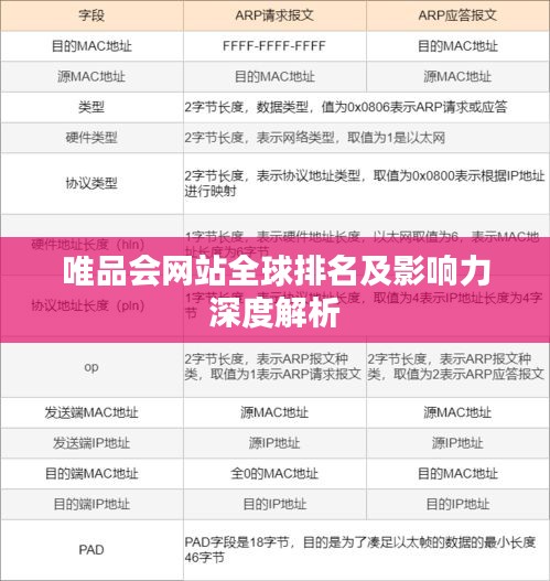 唯品会网站全球排名及影响力深度解析