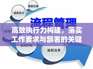 高效执行力构建，落实工作要求与部署的关键之道