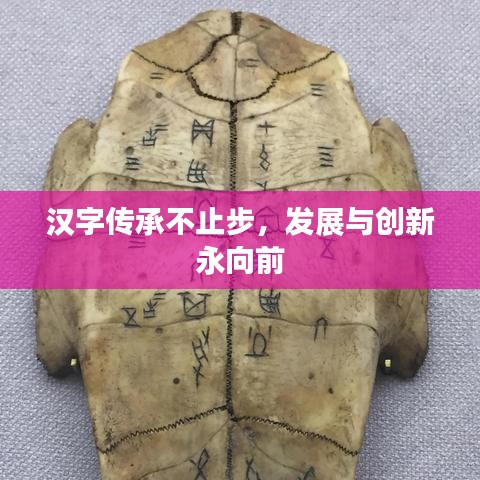 汉字传承不止步，发展与创新永向前