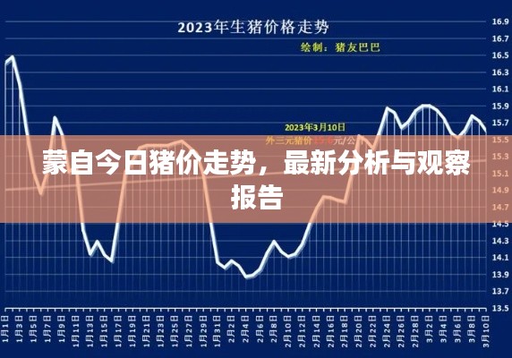 蒙自今日猪价走势，最新分析与观察报告