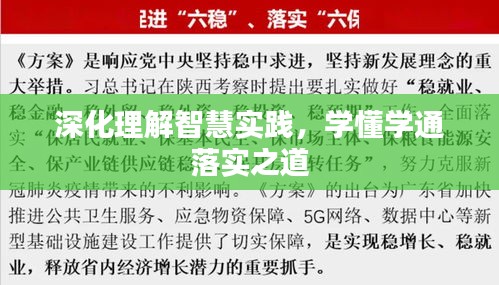 深化理解智慧实践，学懂学通落实之道