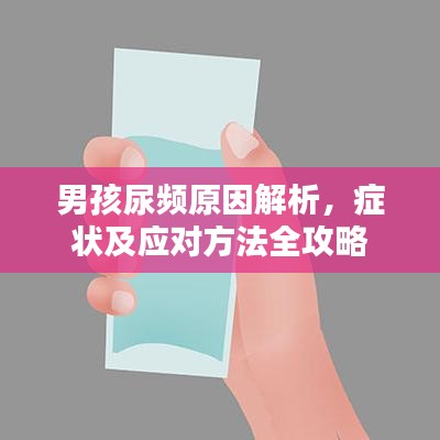 男孩尿频原因解析，症状及应对方法全攻略