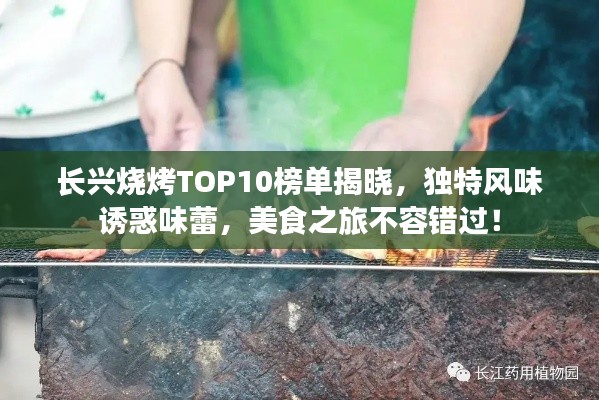 长兴烧烤TOP10榜单揭晓，独特风味诱惑味蕾，美食之旅不容错过！