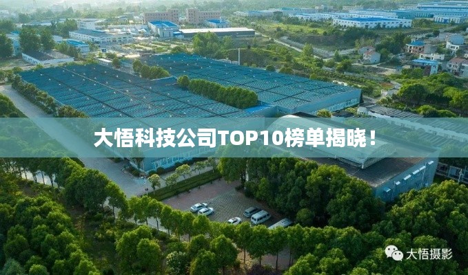 大悟科技公司TOP10榜单揭晓！