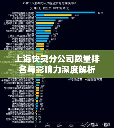 上海快灵分公司数量排名与影响力深度解析