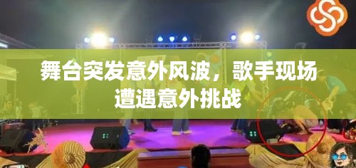 舞台突发意外风波，歌手现场遭遇意外挑战