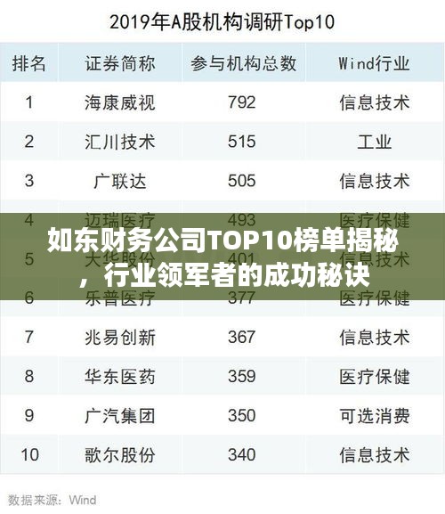 如东财务公司TOP10榜单揭秘，行业领军者的成功秘诀