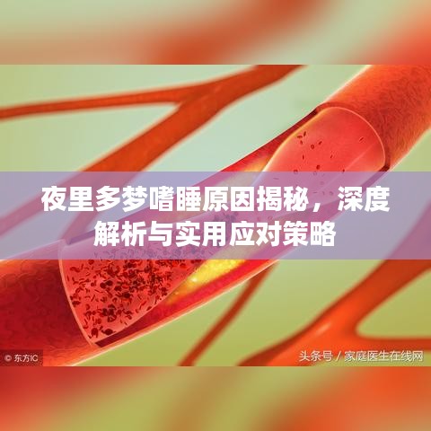 夜里多梦嗜睡原因揭秘，深度解析与实用应对策略