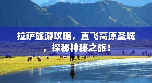 拉萨旅游攻略，直飞高原圣城，探秘神秘之旅！