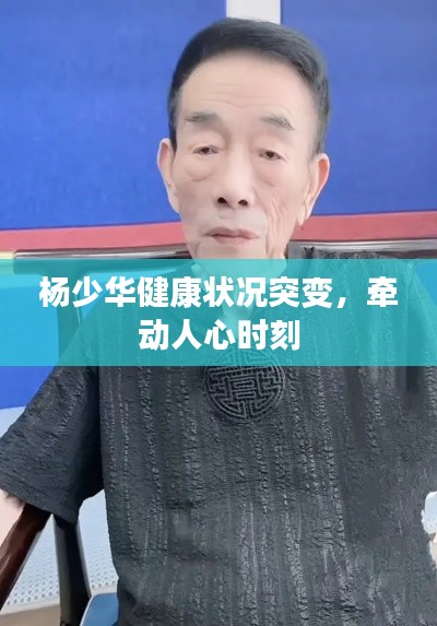 杨少华健康状况突变，牵动人心时刻