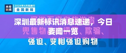 深圳最新标讯消息速递，今日要闻一览