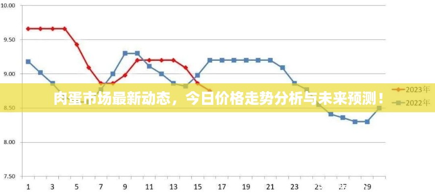 肉蛋市场最新动态，今日价格走势分析与未来预测！