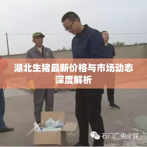 湖北生猪最新价格与市场动态深度解析