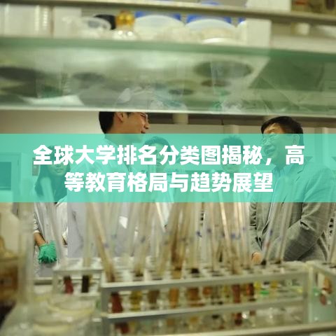 全球大学排名分类图揭秘，高等教育格局与趋势展望