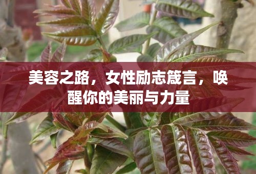 美容之路，女性励志箴言，唤醒你的美丽与力量