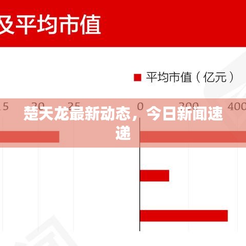 楚天龙最新动态，今日新闻速递