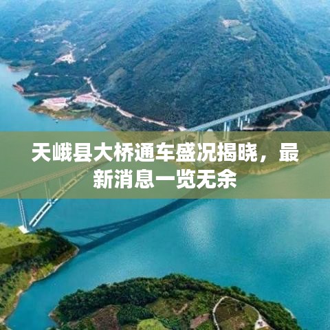 天峨县大桥通车盛况揭晓，最新消息一览无余