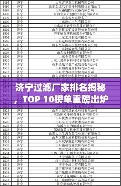 济宁过滤厂家排名揭秘，TOP 10榜单重磅出炉！