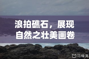 浪拍礁石，展现自然之壮美画卷