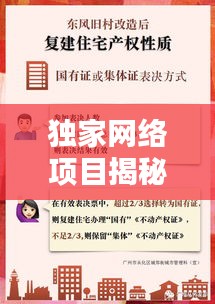 独家网络项目揭秘，现代网络时代的独特机遇一网打尽