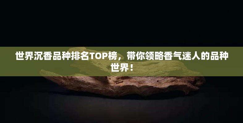 世界沉香品种排名TOP榜，带你领略香气迷人的品种世界！