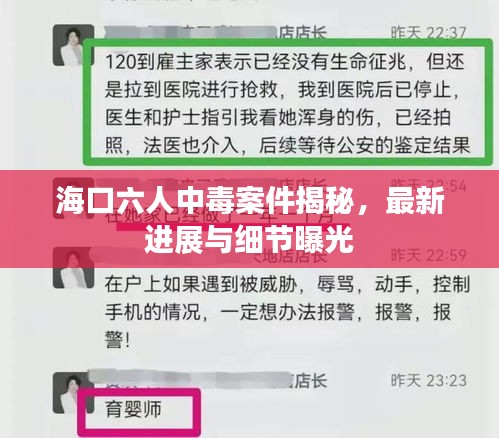 海口六人中毒案件揭秘，最新进展与细节曝光