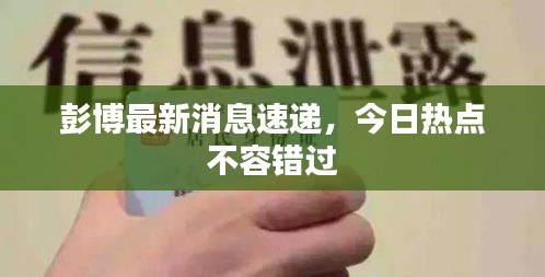 彭博最新消息速递，今日热点不容错过