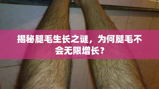 揭秘腿毛生长之谜，为何腿毛不会无限增长？