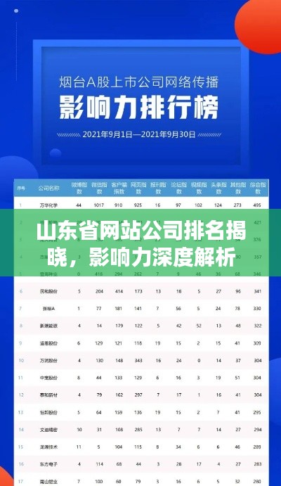 山东省网站公司排名揭晓，影响力深度解析