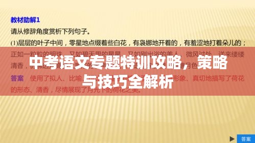 中考语文专题特训攻略，策略与技巧全解析