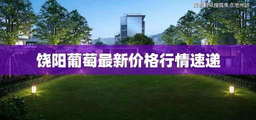 饶阳葡萄最新价格行情速递