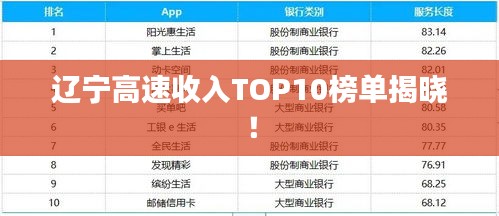 辽宁高速收入TOP10榜单揭晓！