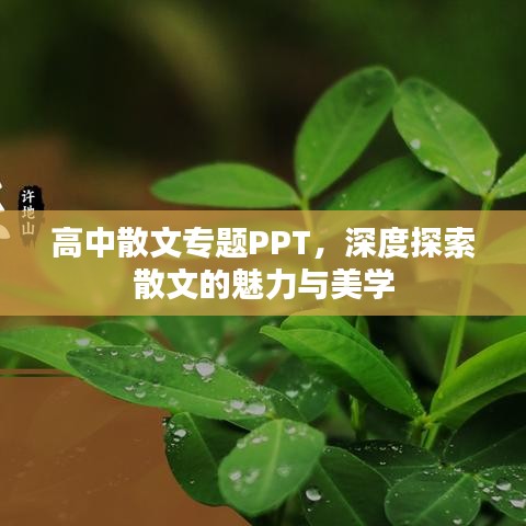 高中散文专题PPT，深度探索散文的魅力与美学