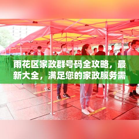 雨花区家政群号码全攻略，最新大全，满足您的家政服务需求