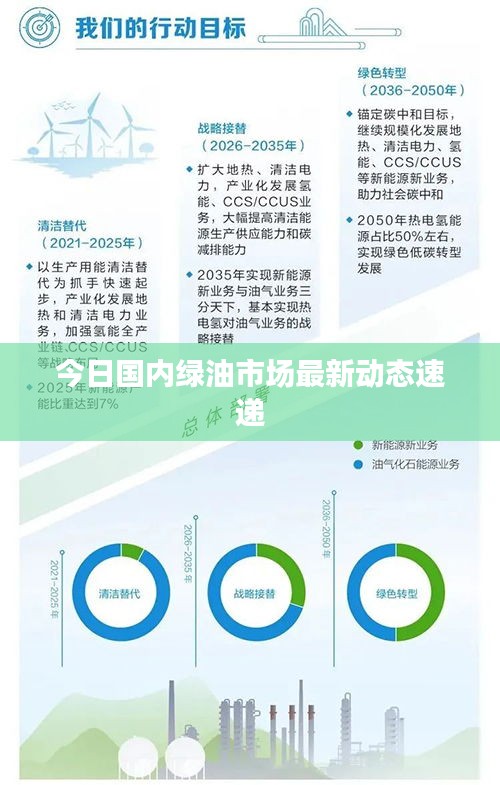 今日国内绿油市场最新动态速递